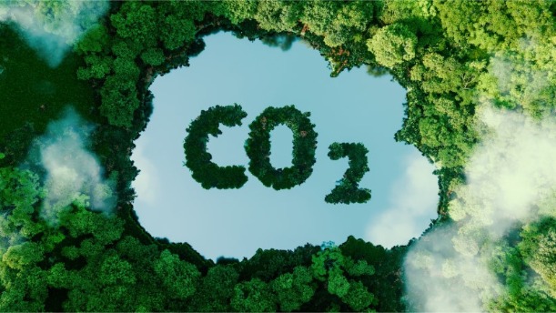 Construction durable avec Hörmann: neutralité CO2 de série